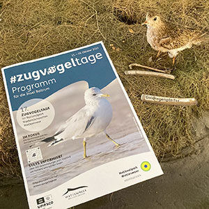 Zugvogeltage_thump Zugvogeltage_thump