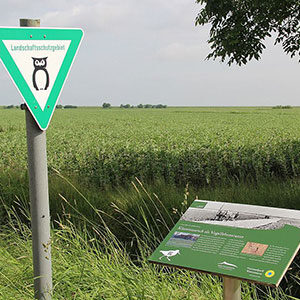 ostermarsch_thump Vogelpfad Ostermarsch – Gestaltung der Infotafeln. Nationalparkverwaltung Niedersächsisches Wattenmeer, 2016