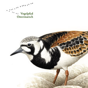 Vogelpfad Ostermarsch – Gestaltung der Infotafeln. Nationalpark Wattenmeer, 2016