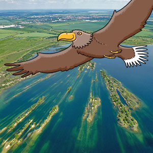 werbeliner-see_thump werbeliner-see_thump