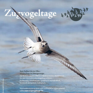 Zugvogeltage im Nationalpark Wattenmeer, Plakat und Programmhefte 2021